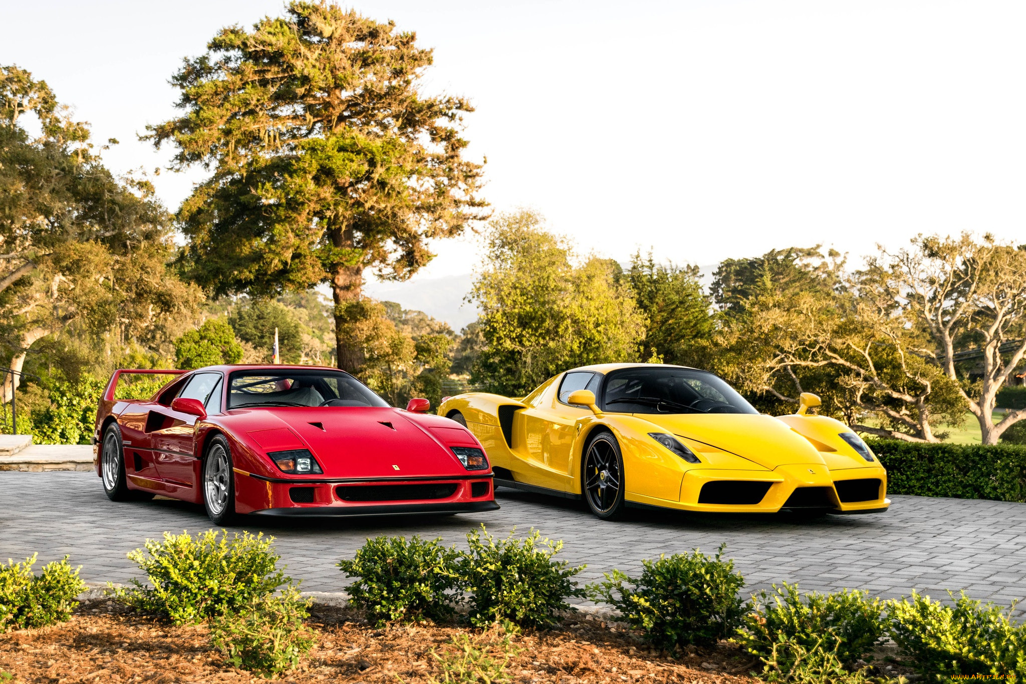 ,  , red, f40, enzo, yellow